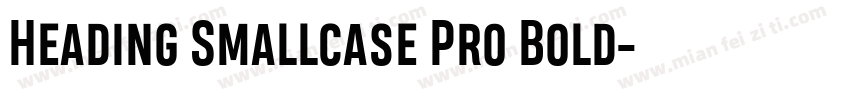 Heading Smallcase Pro Bold字体转换